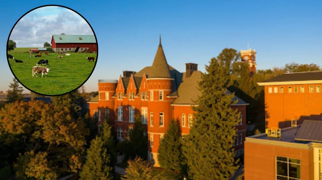 Grass seed expert at Connell Farm 2026 Show