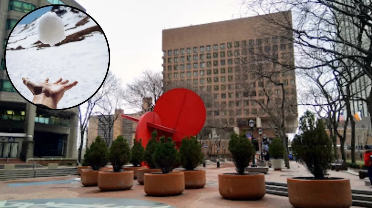 Second NYPD snowball suspect nabbed in Washington 2026